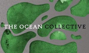 The Ocean video pic