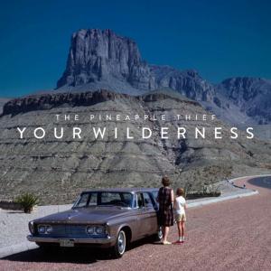 The Pineapple Thief Your Wilderness cover