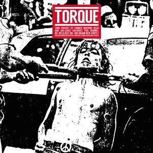Torque cover