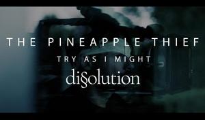 The Pineapple Thief video pic