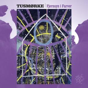 Tusmørke Fjernsyn i Farver cover