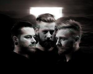 Veins band pic