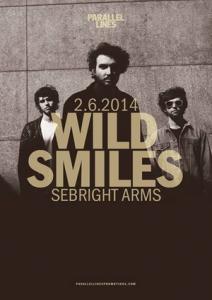 Wild Smiles The Sebright Arms 2014 poster