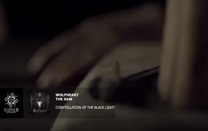 Wolfheart video pic