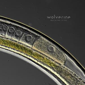 Wolverine Machina Viva cover