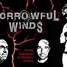 Sorrowful Winds band pic