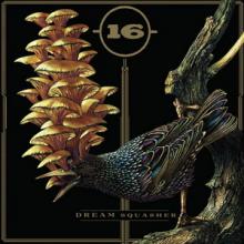 -(16)- Dream Squasher cover