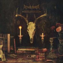 Aether Realm Redneck Vikings from Hell cover