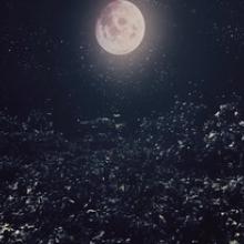 Avantasia video pic