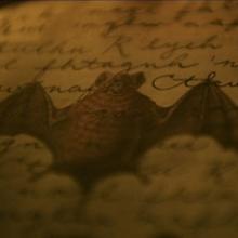 BATS video pic