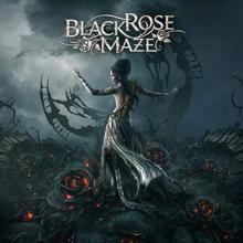 Black Rose Maze cover