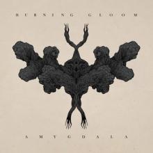 Burning Gloom Amygdala cover