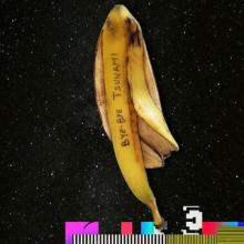 Bye Bye Tsunami ST EP cover