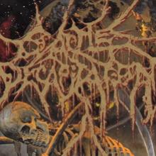Cattle Decapitation video pic
