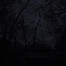 Chrome Waves The Cold Light of Despair cover