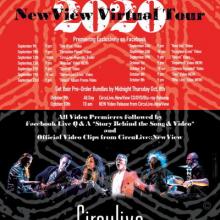 Circuline virtual tour 2020 poster
