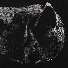 Demon Head Viscera cover