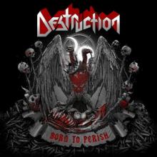 Destruction Born to Perish cover