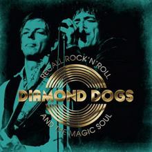 Diamond Dogs Recall Rock ‘n’ Roll & The Magic Soul cover