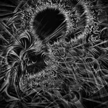 Endless Forms Most Gruesome cover