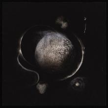 Enthroned Cold Black Suns cover