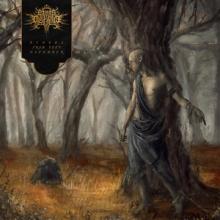 Fires In The Distance Echoes of Deep November cover
