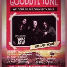 Wolf Jaw & Goodbye June EU Tour 2019 poster