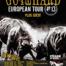 Gotthard Euro Tour 2020 / 2021 poster