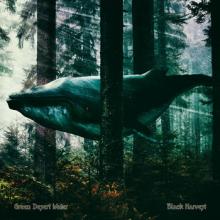 Green Desert Water Black Harvest cover