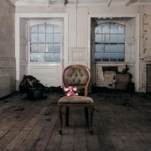 Haunt The Woods Elephant single cover