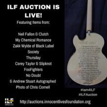 Innocent Lives Foundation Auctions pic