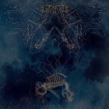 Intonate Severed Within cover