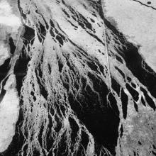 Jesse Draxler Reigning Cement cover