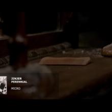 Jinjer video pic
