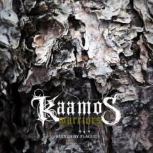 Kaamos Warriors Ruined by Plague single cover