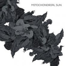 Mitochondrial Sun cover