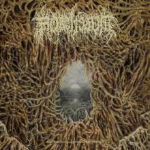 Mortiferum Disgorged from Psychotic Depths cover