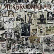 Mushroomhead A Wonderful Life cover