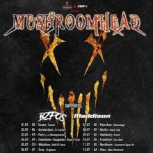 Mushroomhead Euto Tour 2020 poster