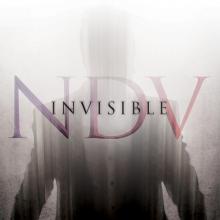 Nick D’Virgilio Invisible cover