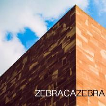 NYOS Zebracazebra single cover