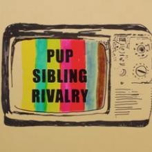PUP video pic