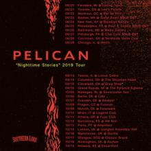 Pelican Tour Poster 2019
