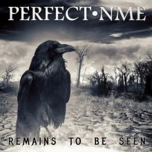 Perfect NME Remains to Be Seen cover
