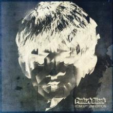 Pinkish Black Concept Unification cover