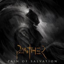 Pain Of Salvation Panther cover