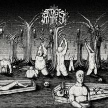 Rage Of Samedi Blood Ritual cover