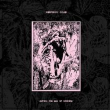 Raspberry Bulbs Before the Age of Mirrors cover