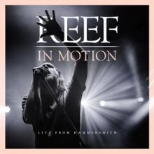 Reef In Motion (Live From Hammersmith) cover