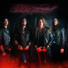 Roadwolf band pic